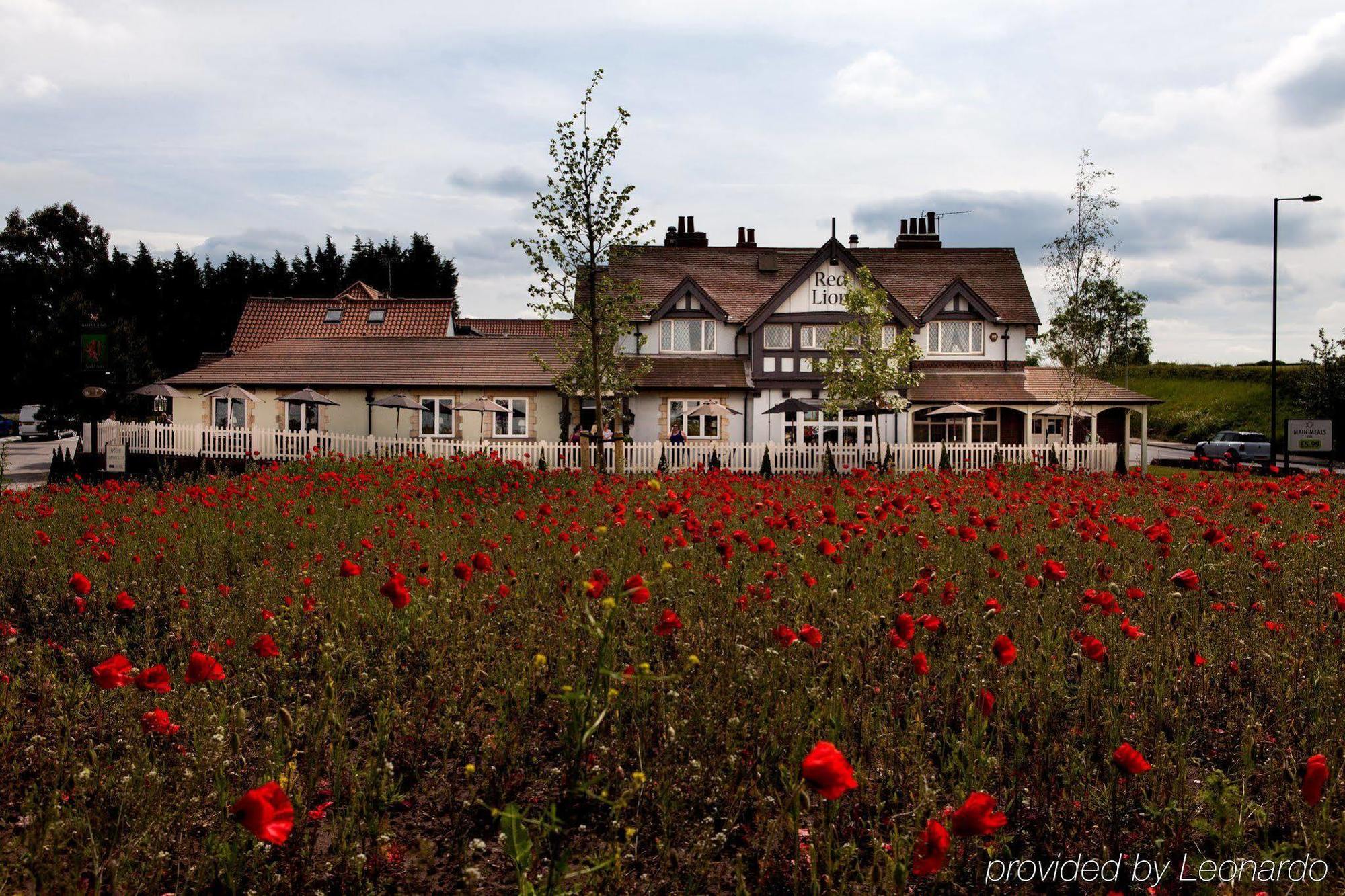 Todwick The Red Lion Inn By Chef & Brewer Collection מראה חיצוני תמונה